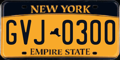 NY license plate GVJ0300