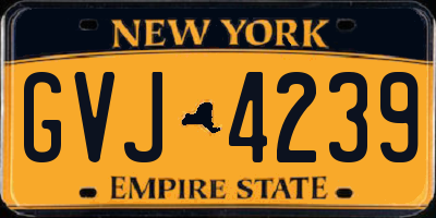 NY license plate GVJ4239