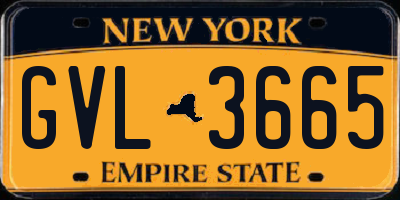 NY license plate GVL3665
