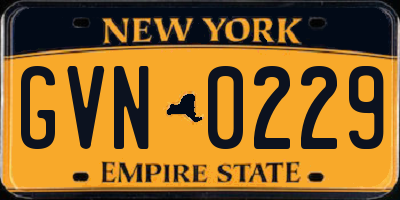 NY license plate GVN0229