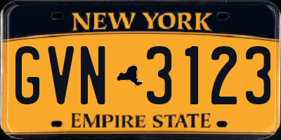 NY license plate GVN3123
