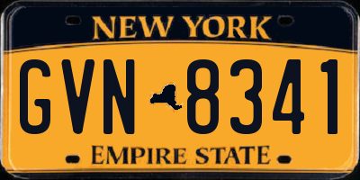 NY license plate GVN8341
