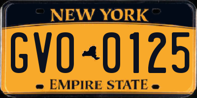 NY license plate GVO0125