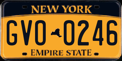 NY license plate GVO0246