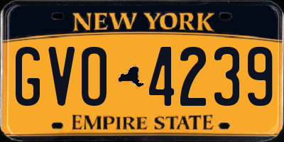 NY license plate GVO4239