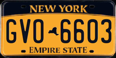 NY license plate GVO6603