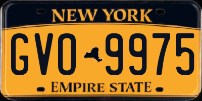 NY license plate GVO9975