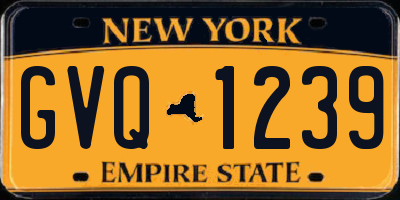 NY license plate GVQ1239