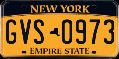 NY license plate GVS0973