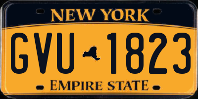 NY license plate GVU1823