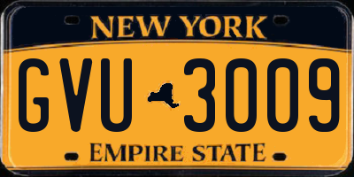 NY license plate GVU3009