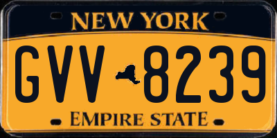 NY license plate GVV8239