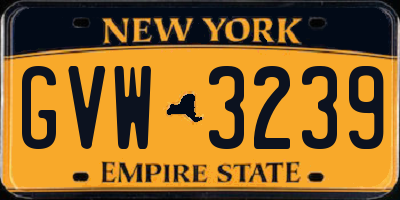 NY license plate GVW3239