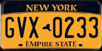 NY license plate GVX0233