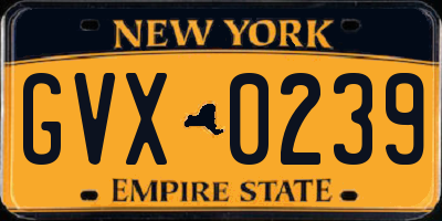 NY license plate GVX0239