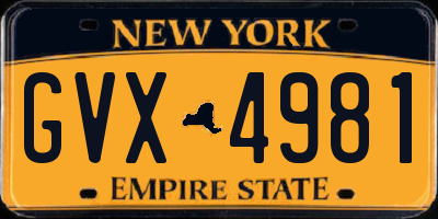 NY license plate GVX4981