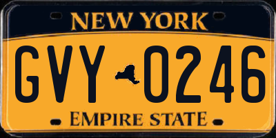 NY license plate GVY0246