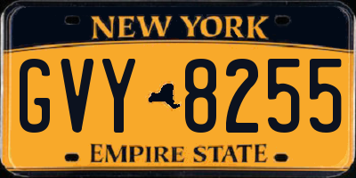 NY license plate GVY8255