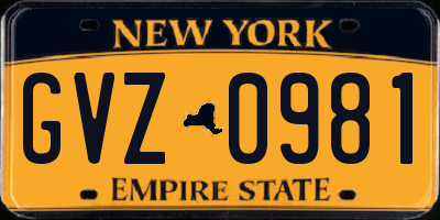 NY license plate GVZ0981