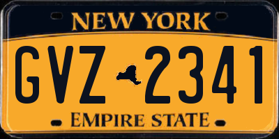NY license plate GVZ2341