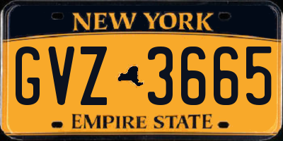 NY license plate GVZ3665
