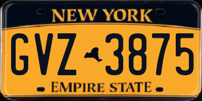 NY license plate GVZ3875