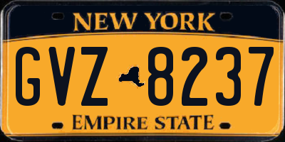 NY license plate GVZ8237