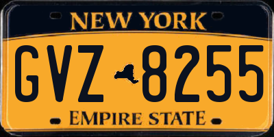 NY license plate GVZ8255