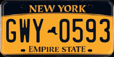 NY license plate GWY0593