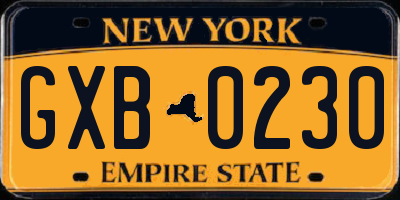 NY license plate GXB0230