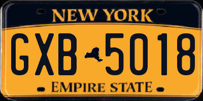 NY license plate GXB5018