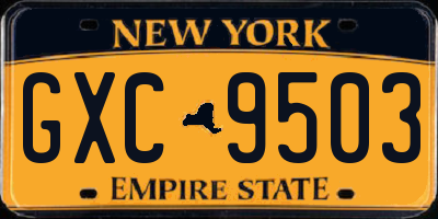 NY license plate GXC9503