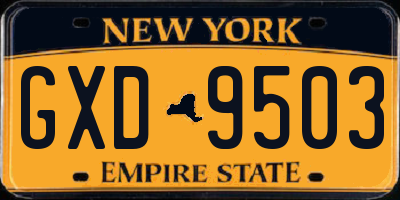 NY license plate GXD9503