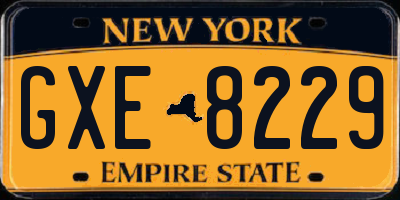 NY license plate GXE8229