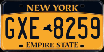 NY license plate GXE8259