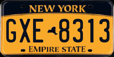 NY license plate GXE8313