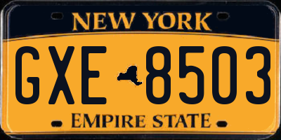 NY license plate GXE8503