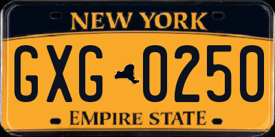 NY license plate GXG0250