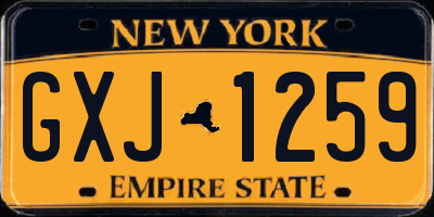 NY license plate GXJ1259