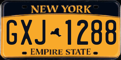 NY license plate GXJ1288