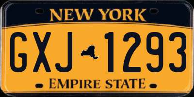 NY license plate GXJ1293