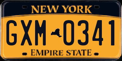 NY license plate GXM0341