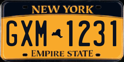 NY license plate GXM1231