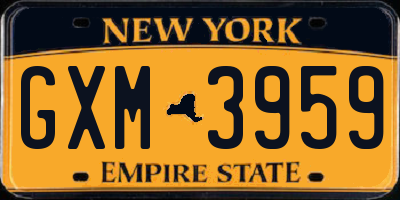 NY license plate GXM3959