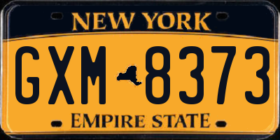 NY license plate GXM8373