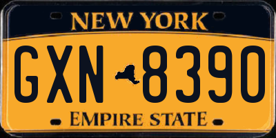 NY license plate GXN8390