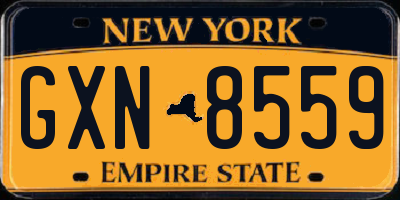 NY license plate GXN8559
