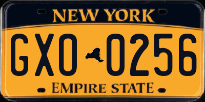 NY license plate GXO0256