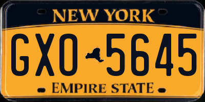 NY license plate GXO5645