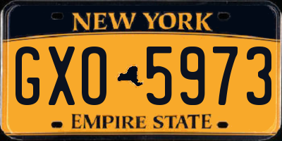 NY license plate GXO5973